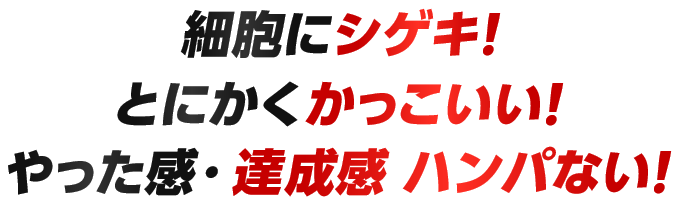 細胞にシゲキ!とにかくかっこいい!やった感・達成感 ハンパない!