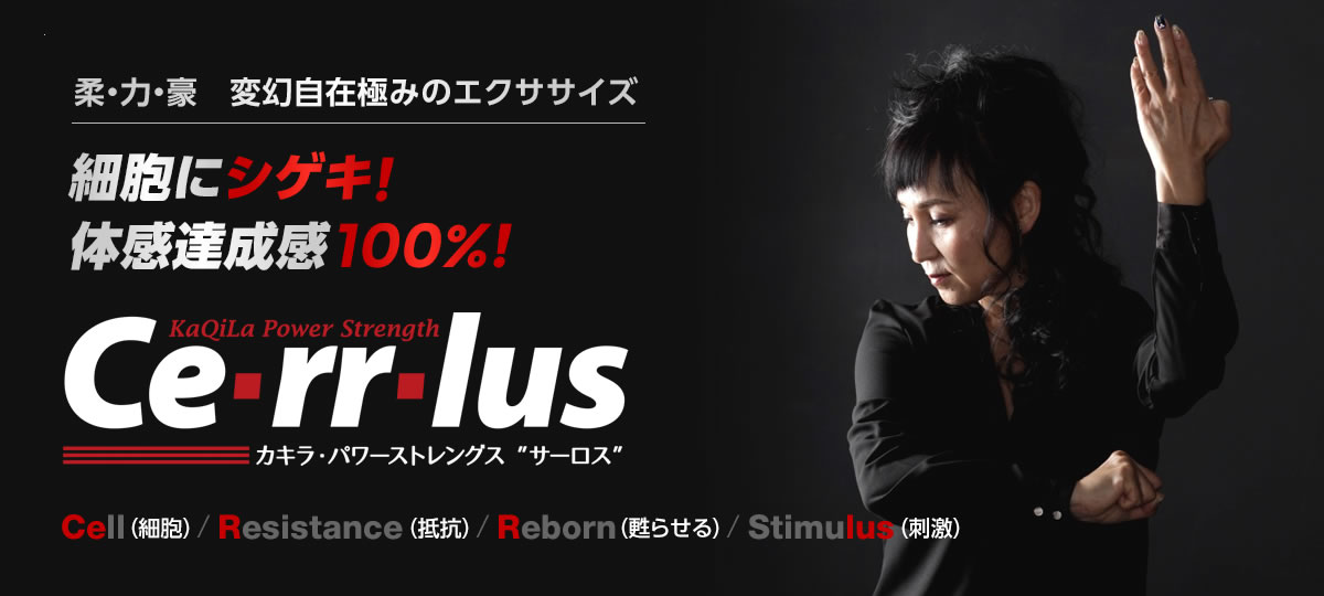 柔・力・豪 変幻自在極みのエクササイズ 細胞にシゲキ!体感達成感100%!カキラ・パワーストレングス「サーロス」